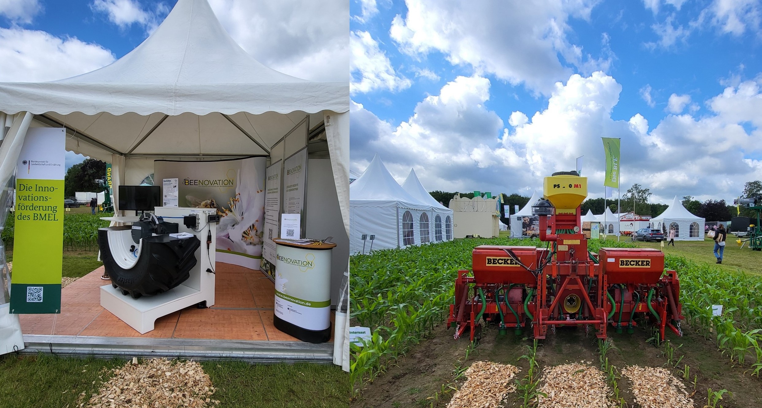 Das Zelt der Innovationsförderung mit dem Querschnittsmodell einer Traktor-Vorderachse mit Reifendruckregelanlage aus „VariQtire“ und der Stand der Vernetzungs- und Transfermaßnahme „Beenovation“ (links). An der Maisfläche mit der Untersaat Rotschwingel steht die Maislegemaschine mit Untersaateinrichtung aus „Maisuntersaat-easy“ (rechts). © BLE