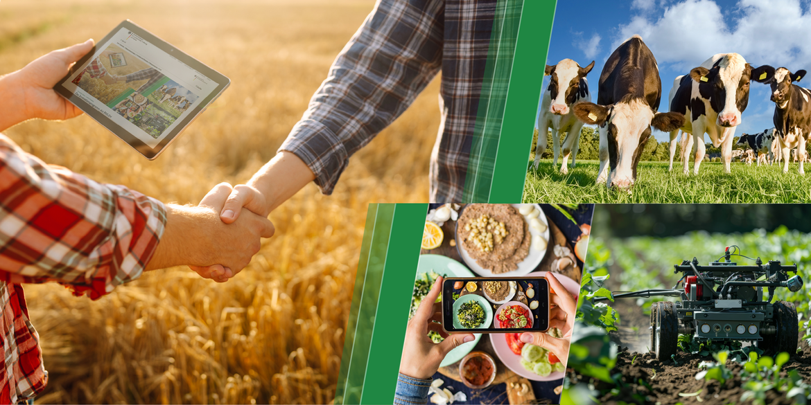 Bildcollage mit zwei Landwirten auf einem Weizenfeld, die sich per Handschlag einigen und ein Tablet in der Hand halten, einem autonom fahrenden Feldroboter, einem Handy, welches Lebensmittel anzeigt und eine Aufnahme von schwarz-weißen Kühen auf einer Weide mit blauem Himmel