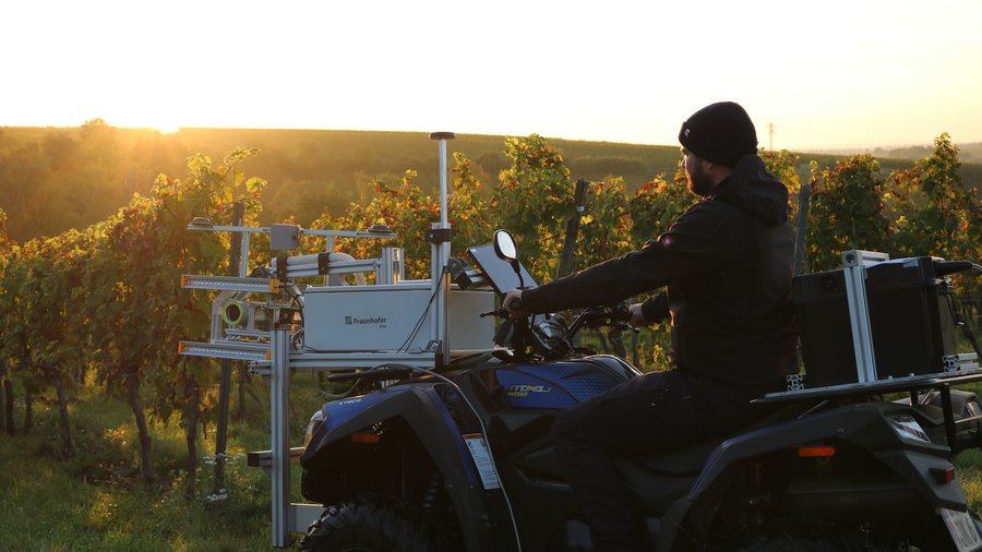 Abbildung eines PHENOquads im Weinberg zur zerstörungsfreien Bilddatenaufnahme © JKI, J. Fuchs