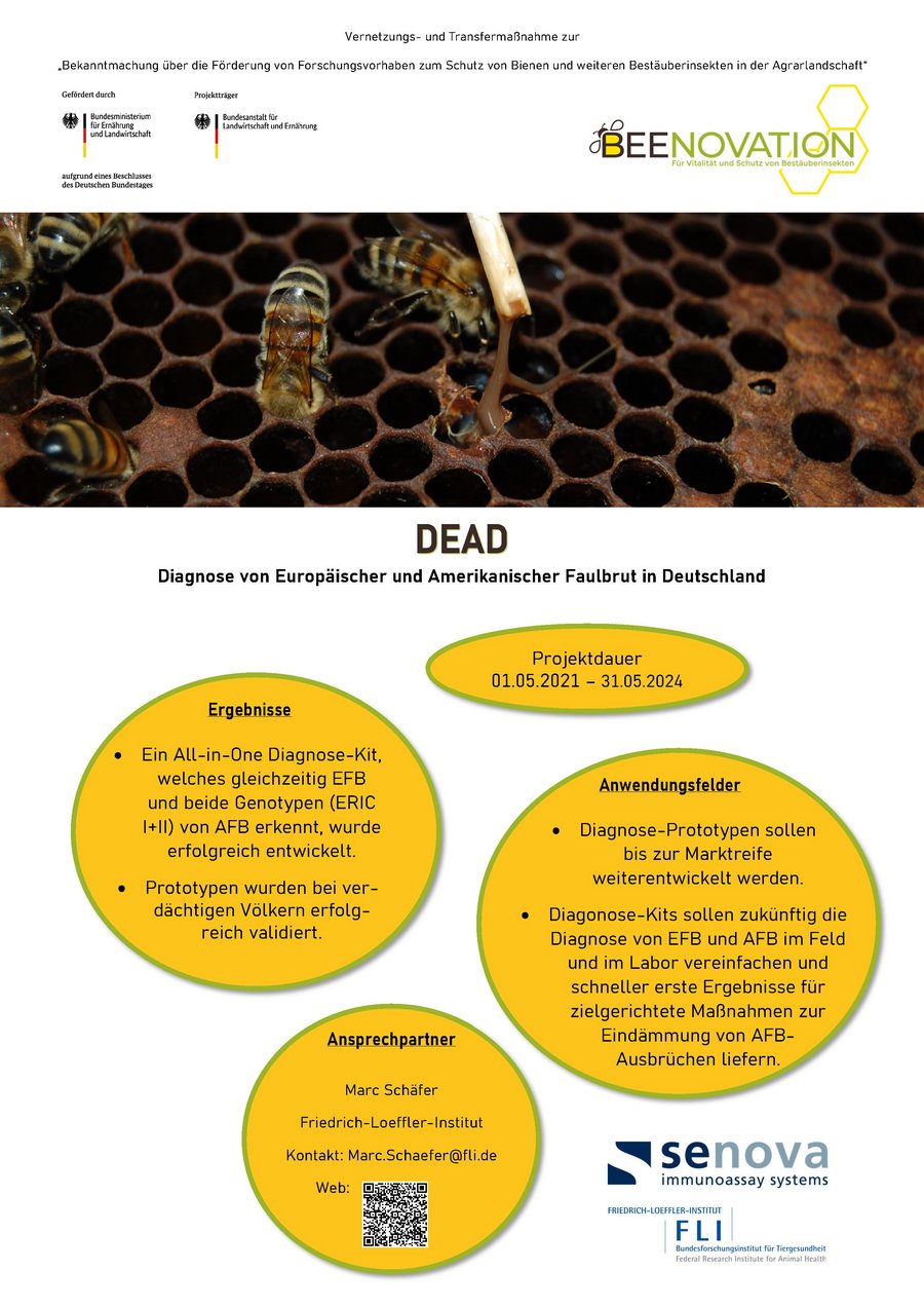 Steckbrief des Projekts: Diagnose von Europäischer und Amerikanischer Faulbrut in Deutschland (DEAD)