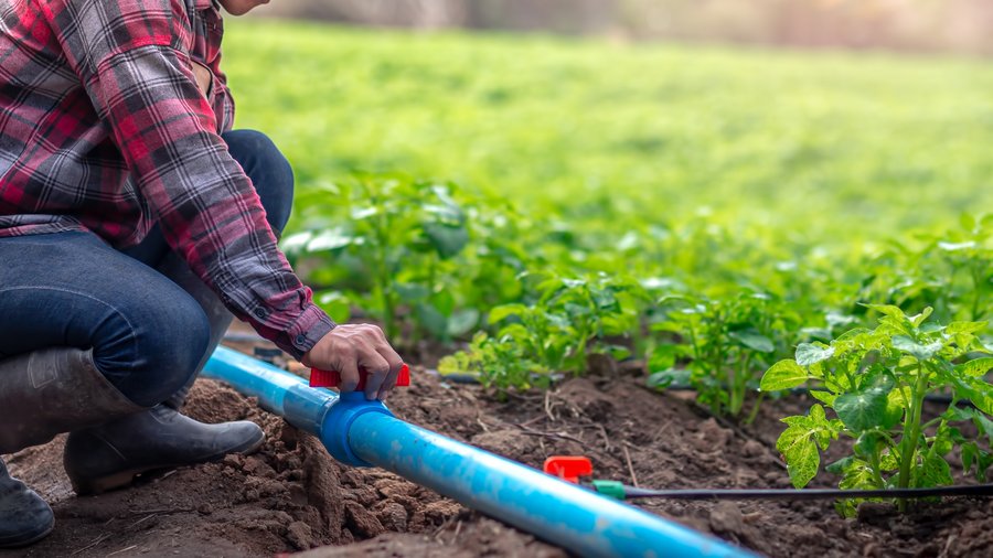 Mensch betätigt Bewässerungsschlauch