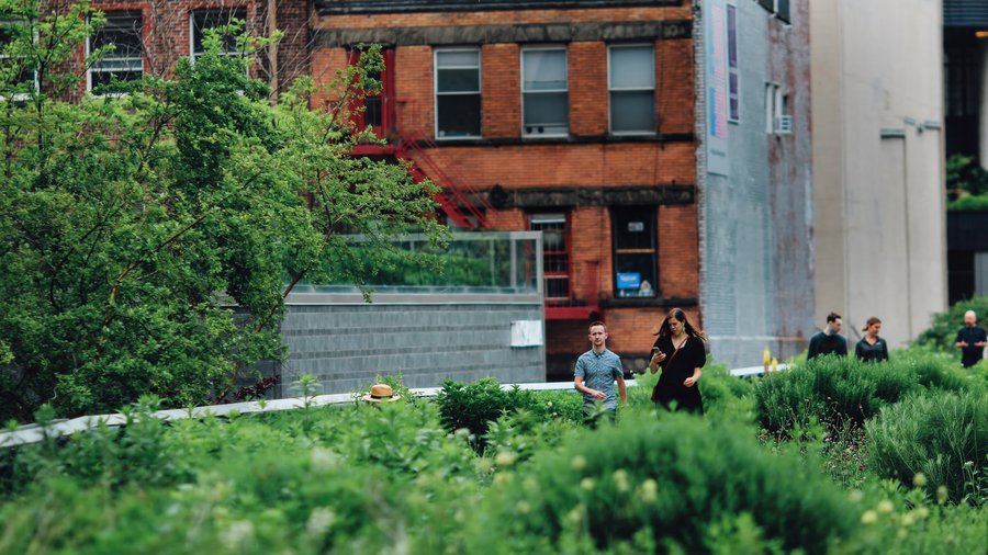 Stadtbild urbanes Grün