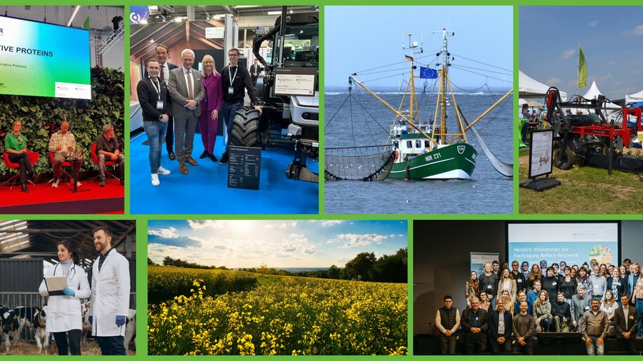 Collage mit Veranstaltungs- und Themenhighlights aus dem Programm zur Innovationsförderung des BMLEH.