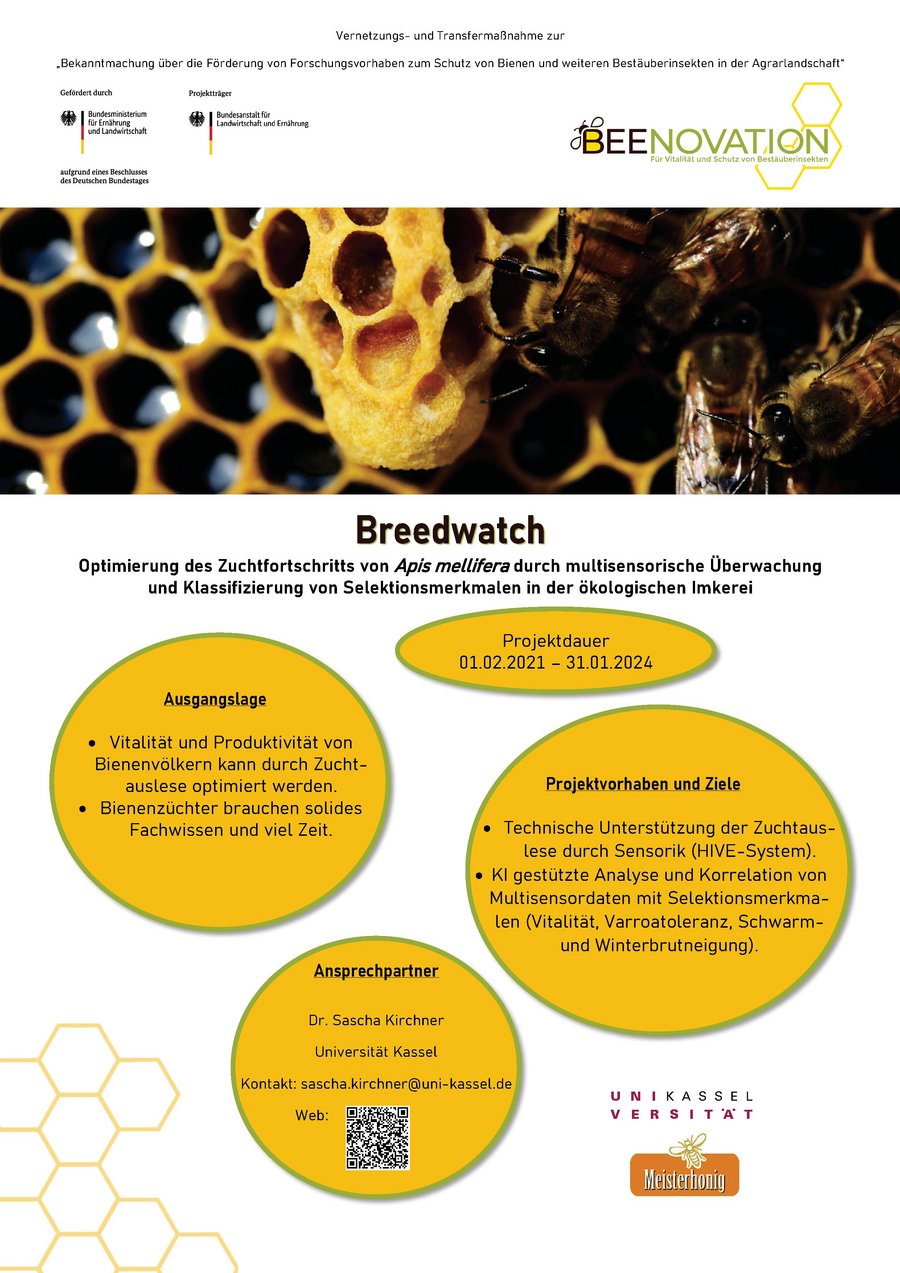 Steckbrief des Projekts: Optimierung des Zuchtfortschritts von Apis mellifera durch multisensorische Überwachung und Klassifizierung von Selektionsmerkmalen in der ökologischen Imkerei (Breedwatch)