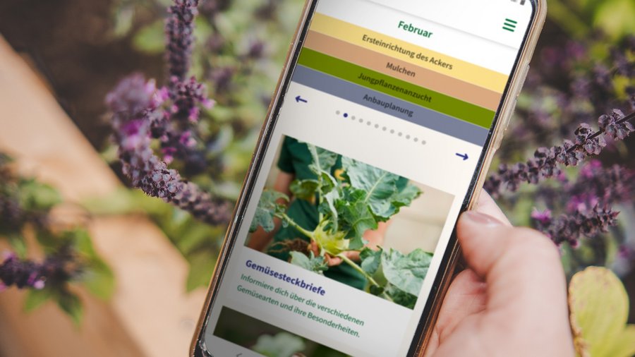 Handydisplay mit App-Ansicht